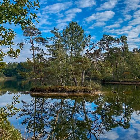 Bospareltjes Luxe Chalets Alleen Voor Recreatie Oisterwijk Luaran gambar