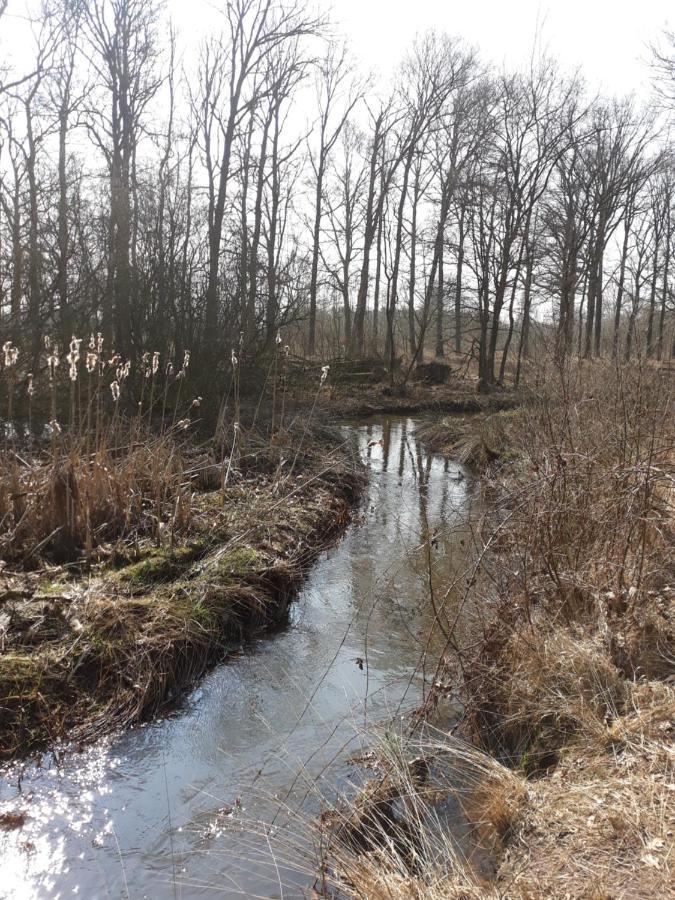 Bospareltjes Luxe Chalets Alleen Voor Recreatie Oisterwijk Luaran gambar