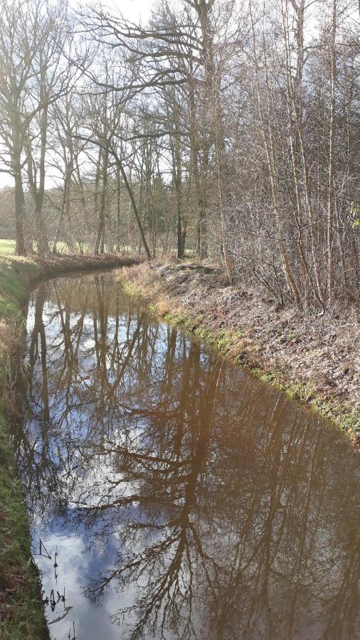 Bospareltjes Luxe Chalets Alleen Voor Recreatie Oisterwijk Luaran gambar